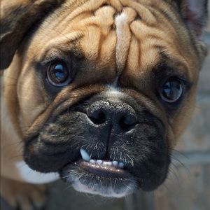 Meet your Posher, Micah